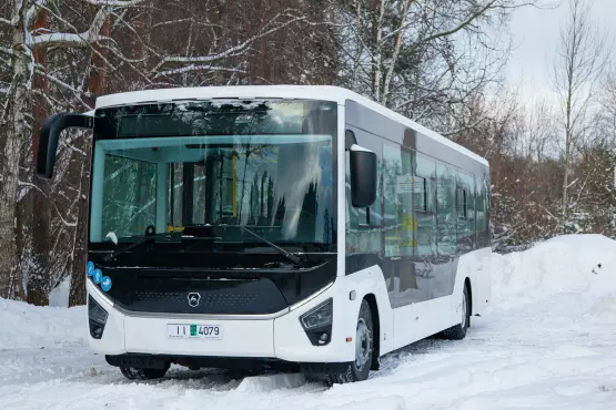 статья