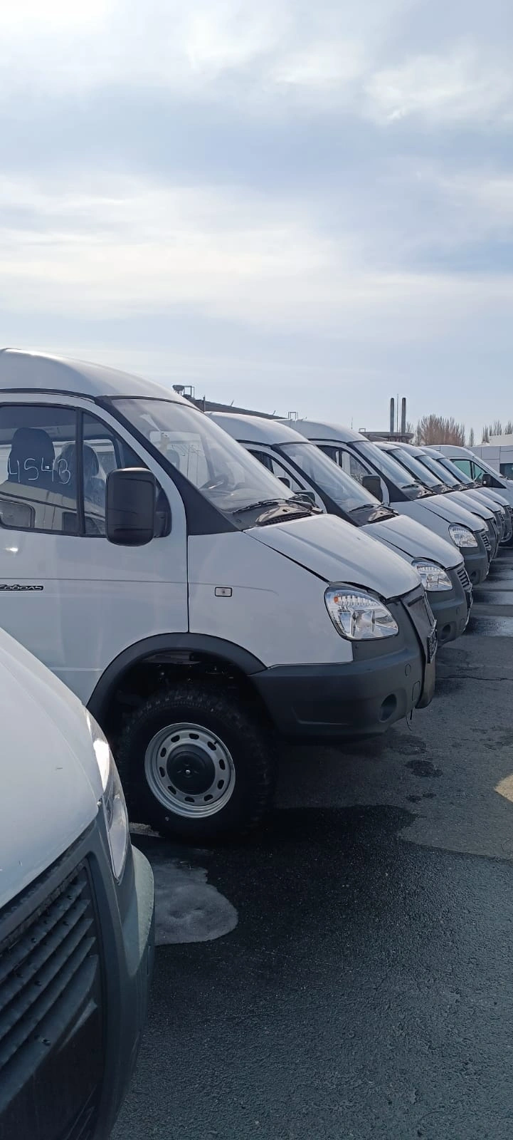 статья